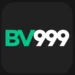 BV999 Game